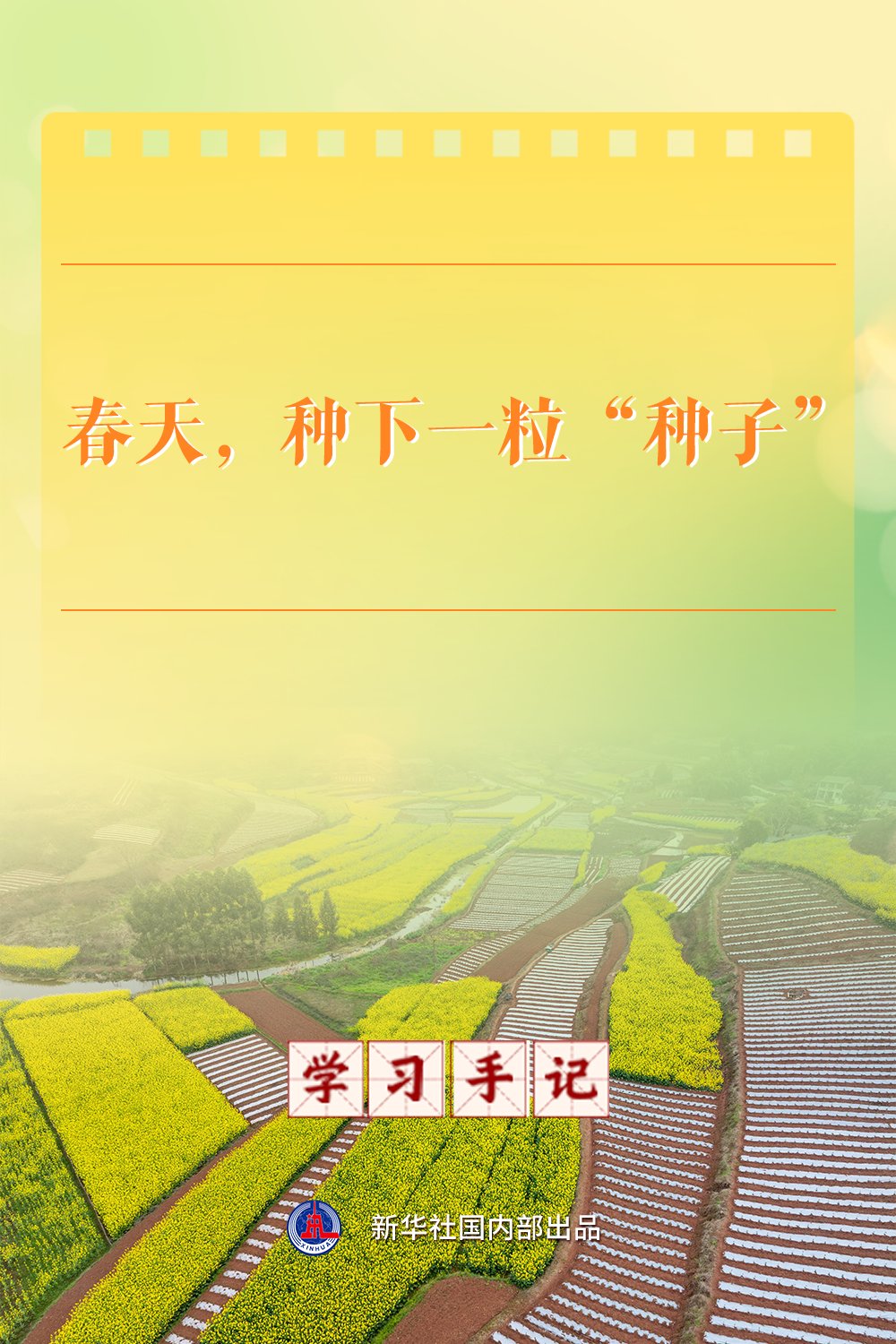 搞农业要把种业搞上去