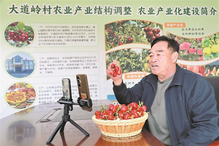 春季的大道岭村梨花盛开,与青山相映成趣。