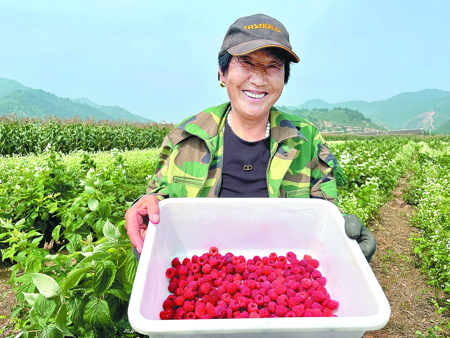 在青龙满族自治县马圈子镇桲椤滩村的百