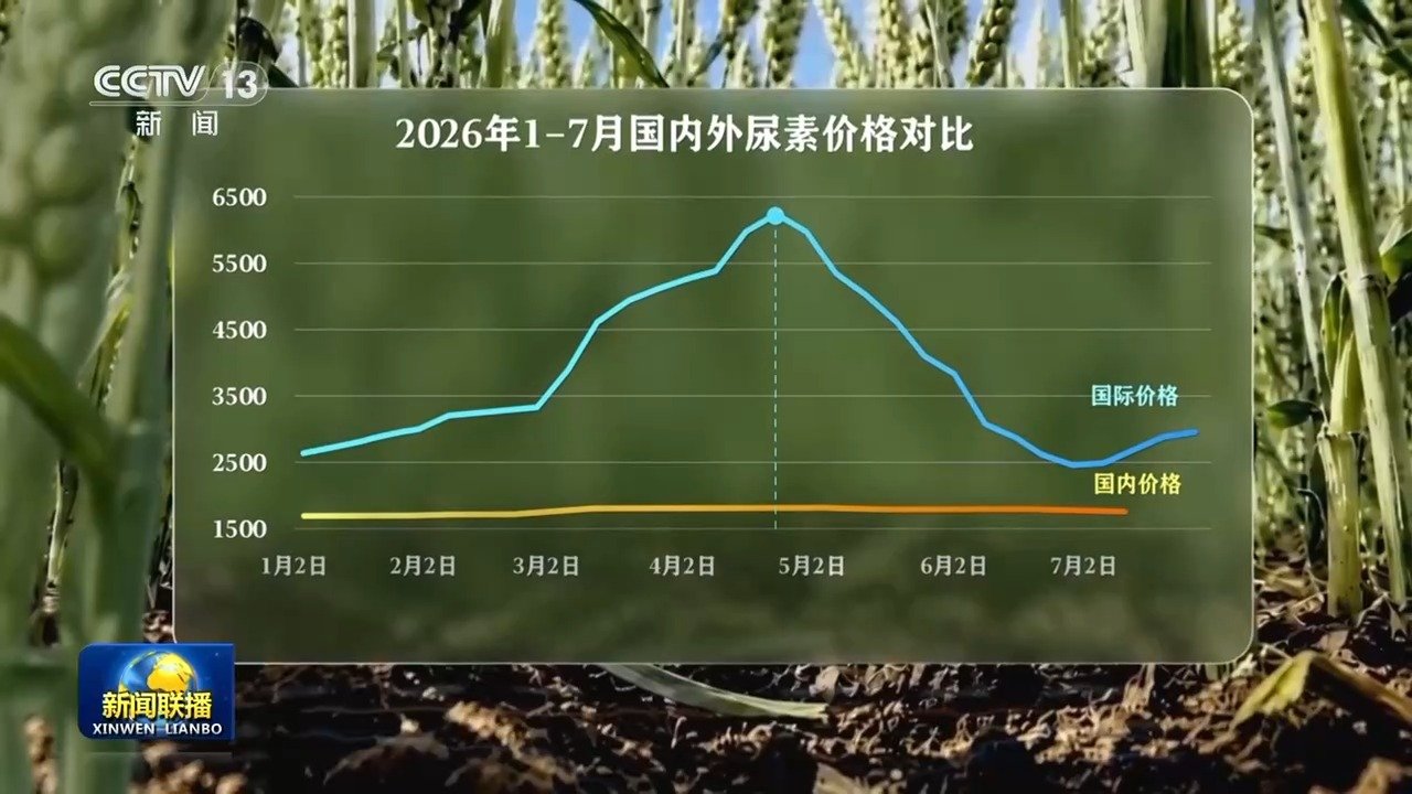 我国深入实施国家粮食安全战略