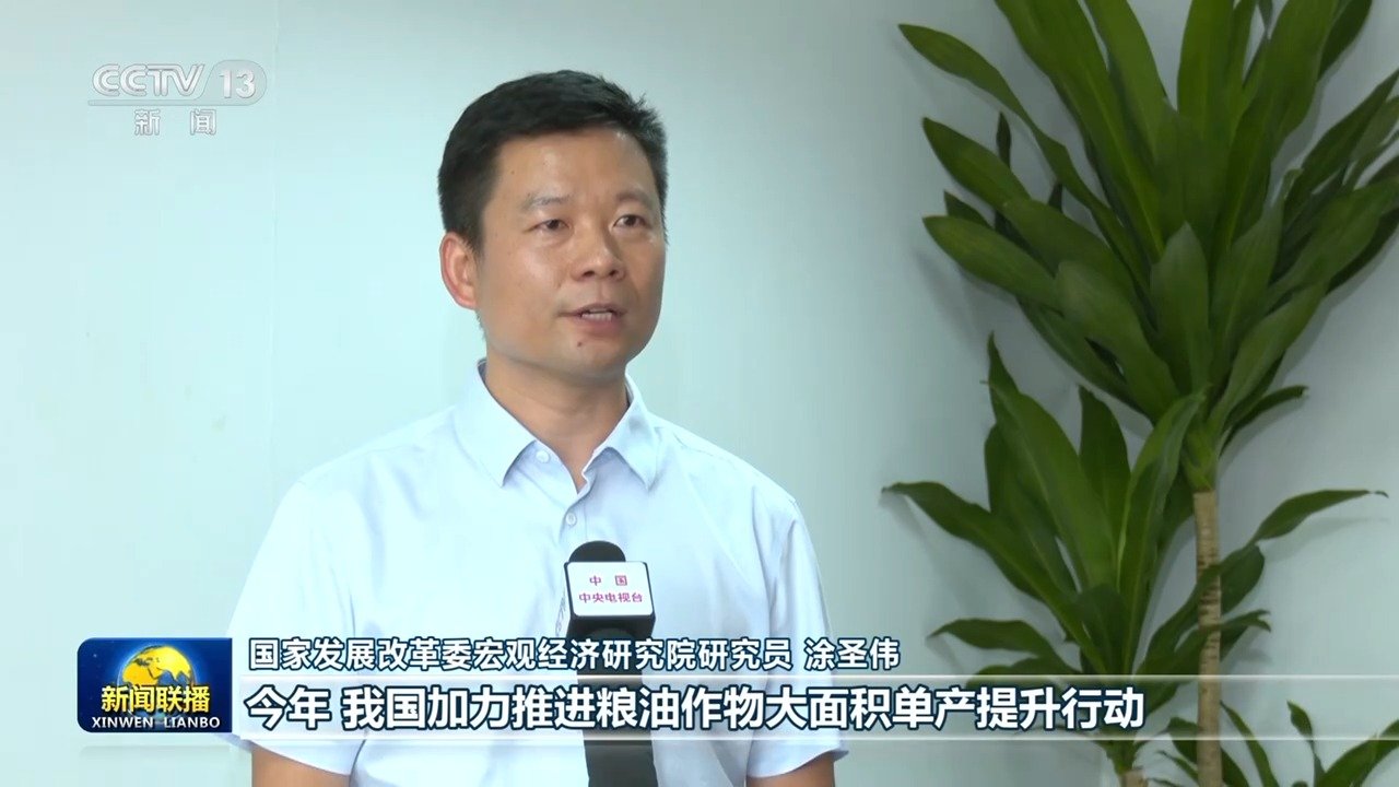 是我国夏粮生产第一大省