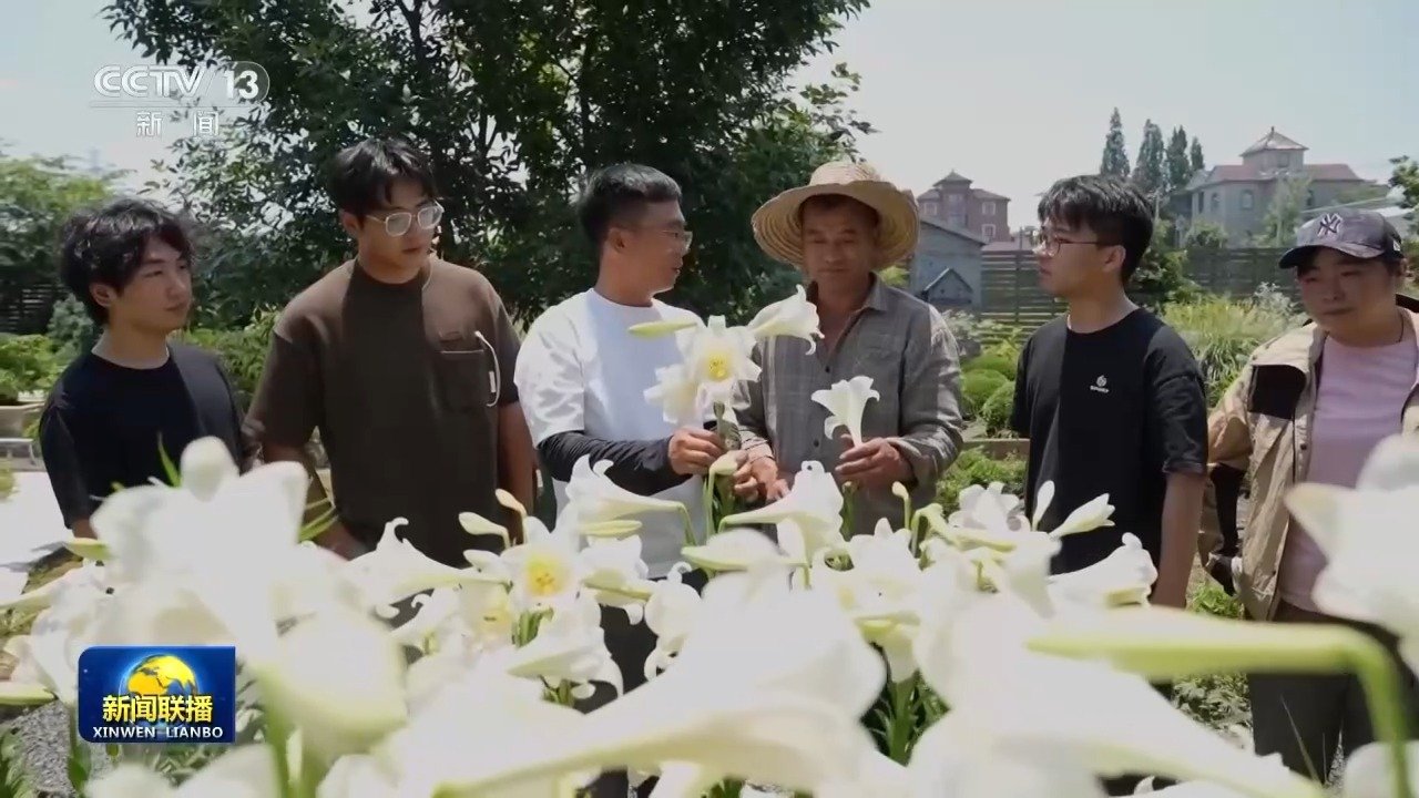 来村里休闲度假的游客们
