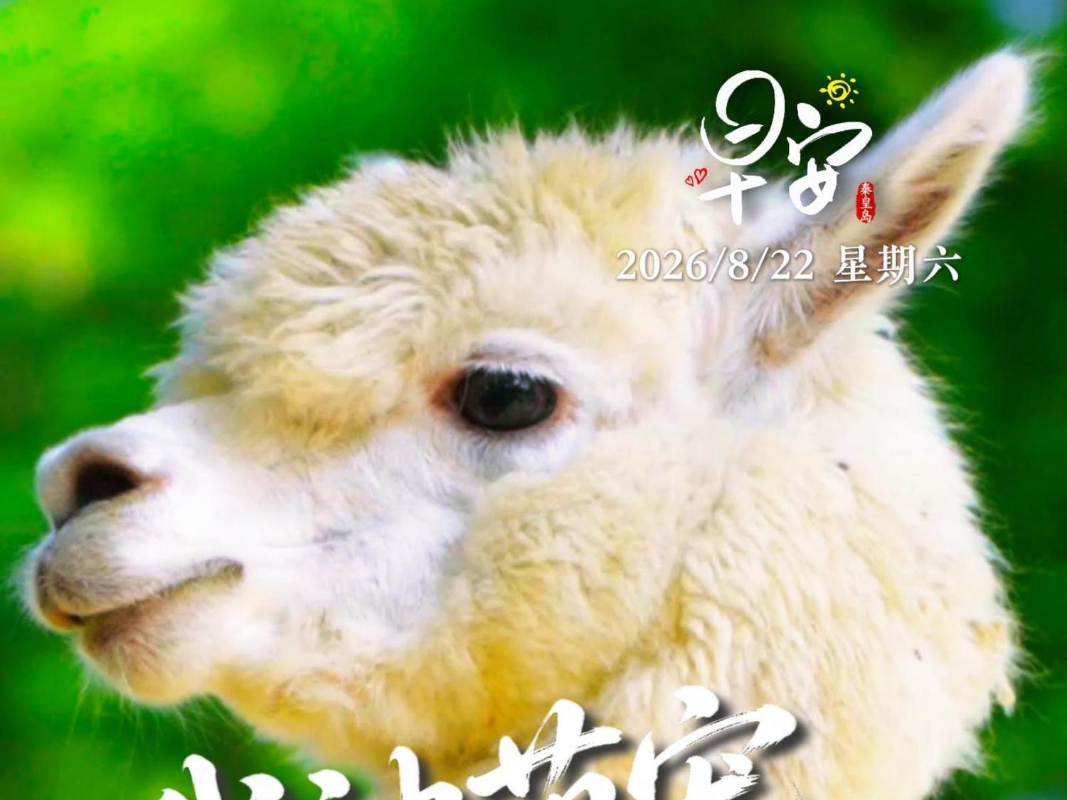 相关阅读