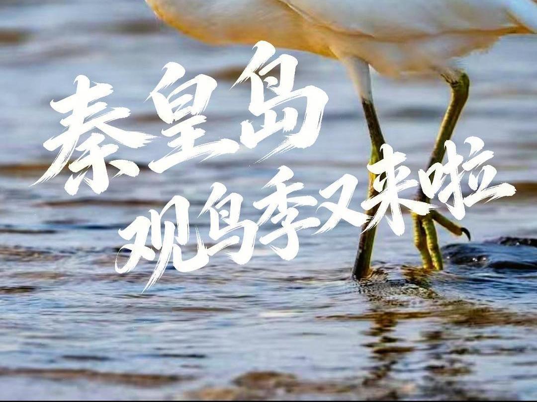 博乐游戏官方网站入口说明」整理公开信